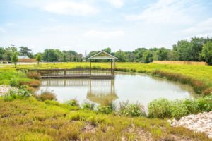 Scenic pond views at Hardy's Resort RV Park in College Station, Texas.