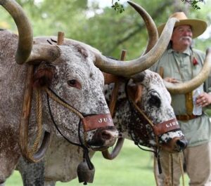 Boonville Days Texas Heritage Festival in Bryan Texas